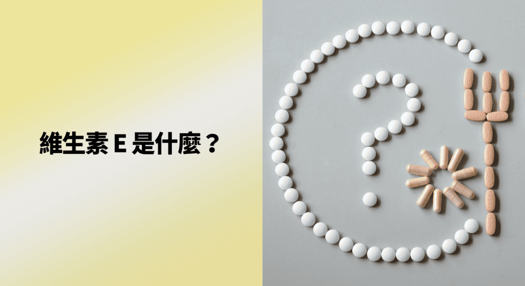 維生素 E 是什麼？