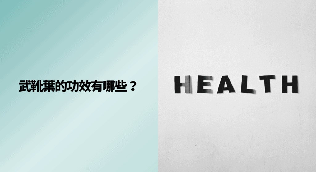 武靴葉的功效有哪些？