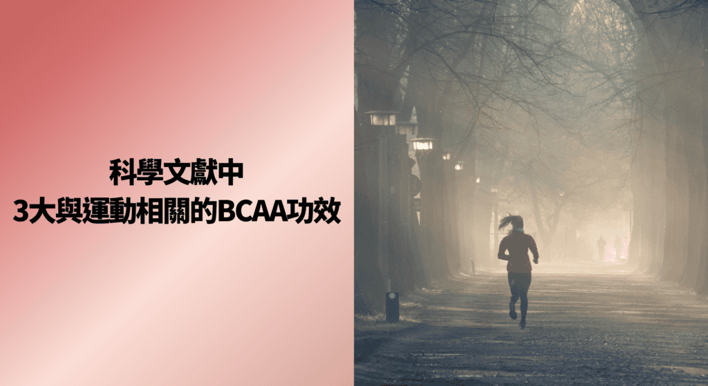 科學文獻中 3 大與運動相關的 BCAA 功效