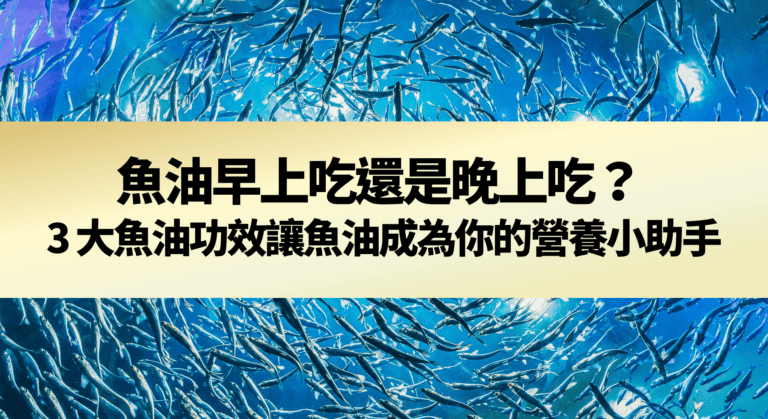 魚油早上吃還是晚上吃？ 3 大魚油功效讓魚油成為你的營養小助手