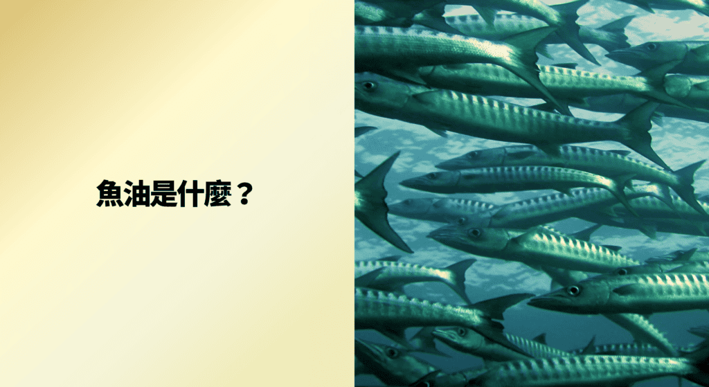 魚油是什麼？