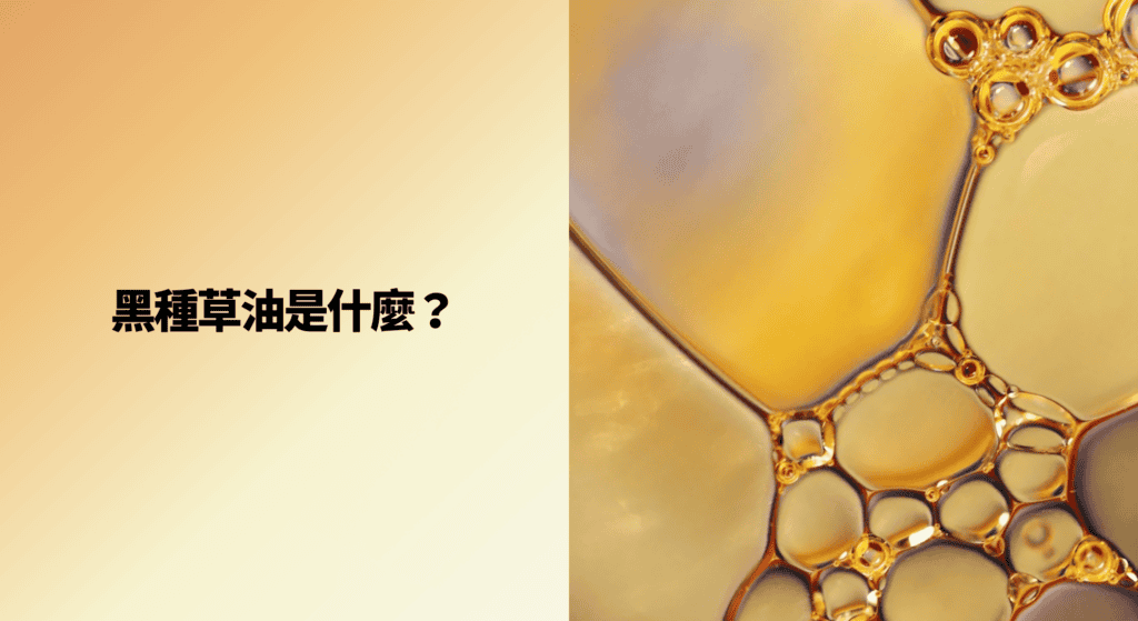 黑種草油是什麼？