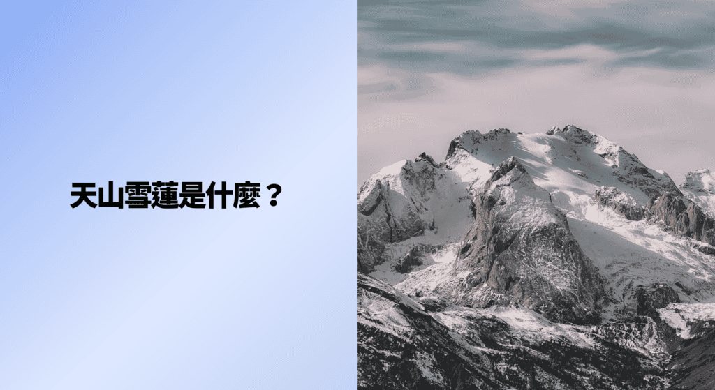 天山雪蓮是什麼？