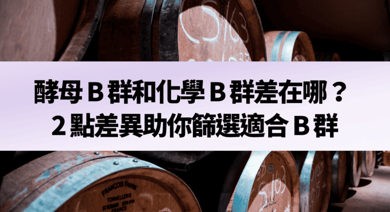 酵母 B 群和化學 B 群差在哪？ 2 點差異助你篩選適合 B 群