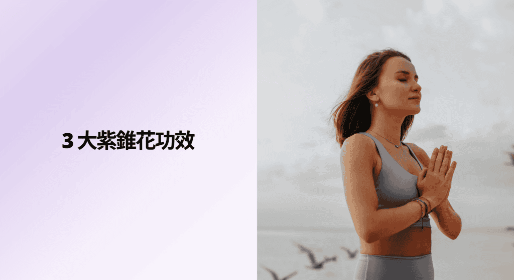 3 大紫錐花功效