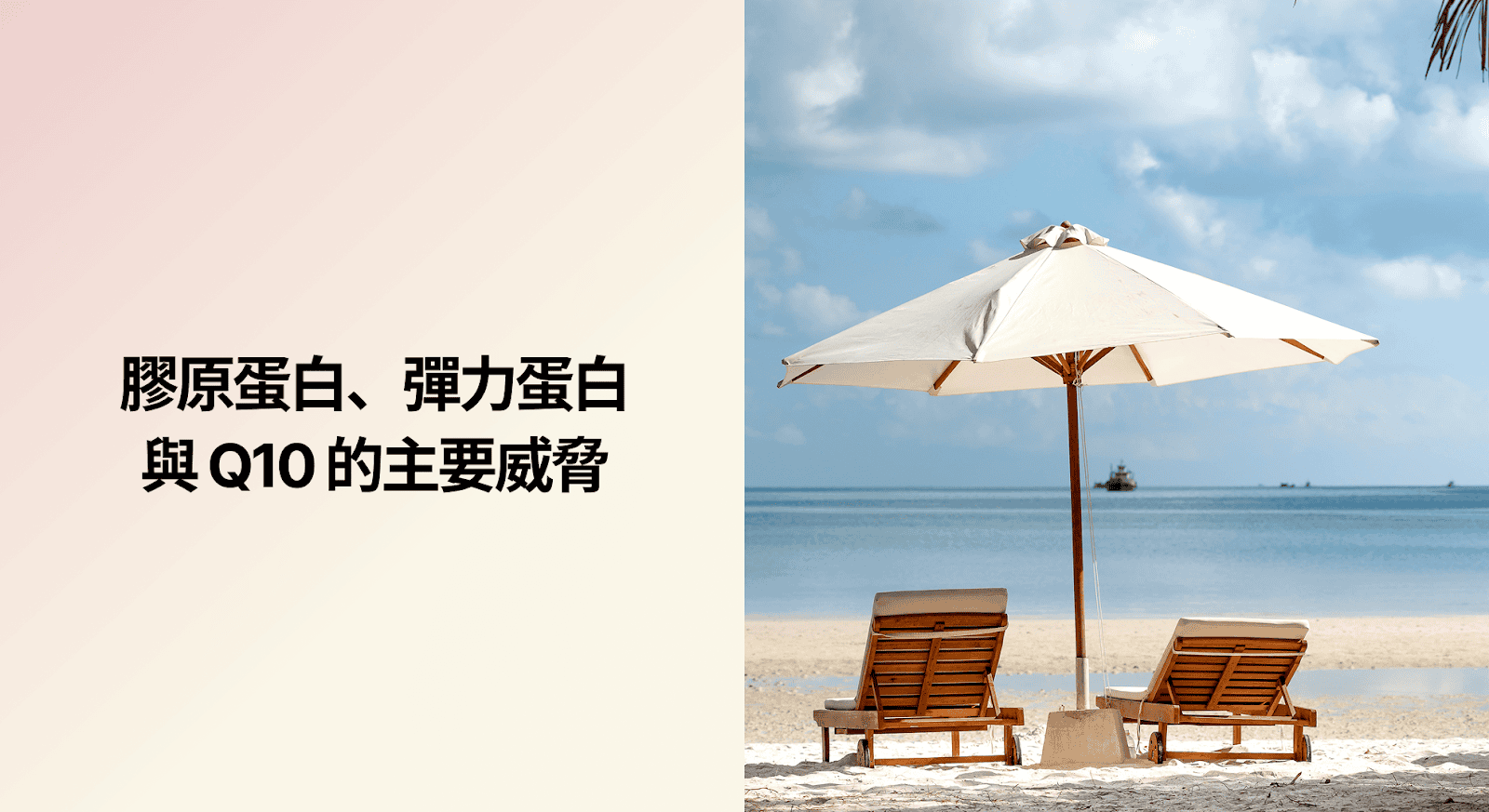 膠原蛋白、彈力蛋白與 Q10 的主要威脅