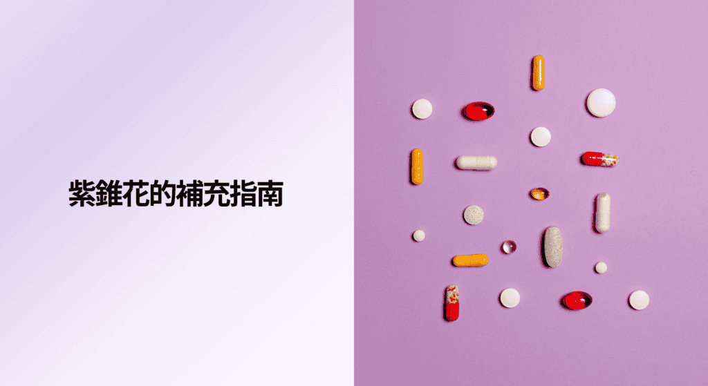 紫錐花的補充指南