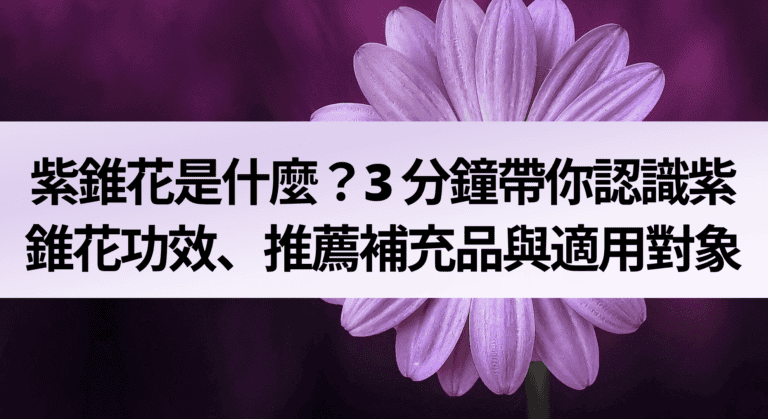 紫錐花是什麼？3 分鐘帶你認識紫錐花功效、推薦補充品與適用對象